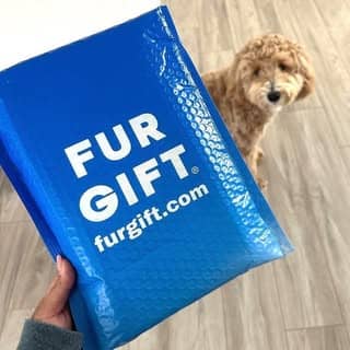 Fur Gift logo