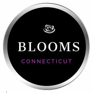Connecticut Blooms logo