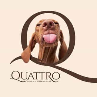 Qpet.lv logo