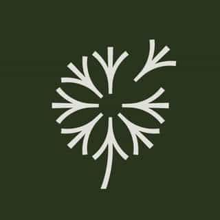 Windflower Florist logo
