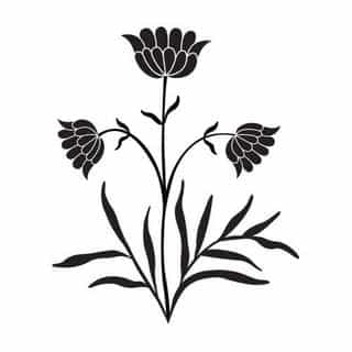 Zara Shahjahan logo