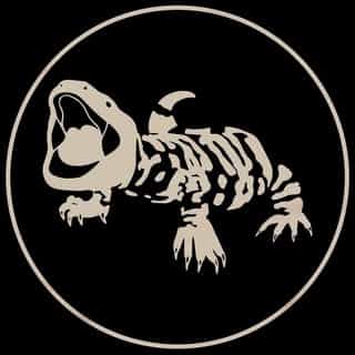 Gila Conceal logo