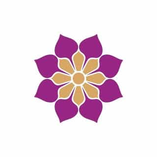 Vijayalakshmi Silks logo