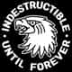 Indestructible MFG logo