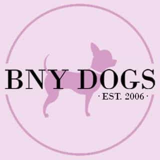Bitch New York logo