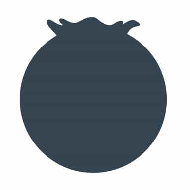 The Blueberry Hill logo