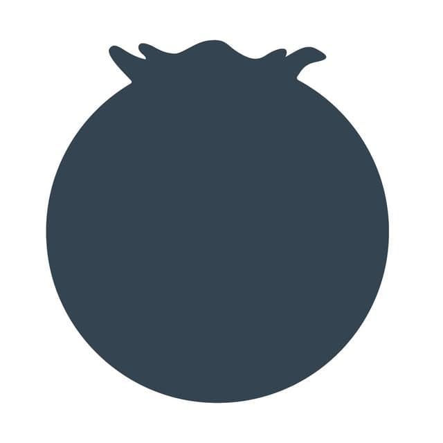 The Blueberry Hill logo