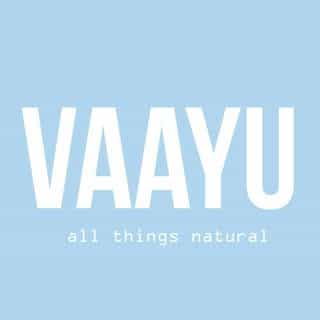 Vaayu logo