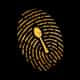 Cold Case Ice Cream logo