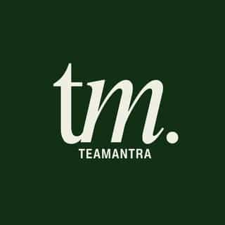 TEAMANTRA logo