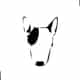 Yupcollars logo