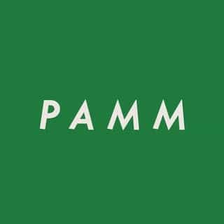 pamm.officialstore logo