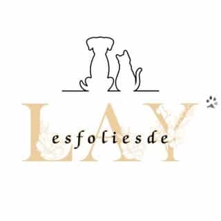Les folies de Lay’ logo