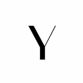 YNOT-DREAMBIG logo