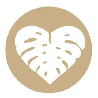 Delicious Monsters logo