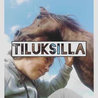 Tiluksilla verkkokauppa logo
