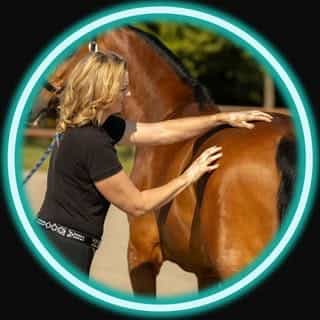Equi-vitaal | Jouw paard in Topvorm logo