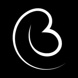 Boss Bidet logo