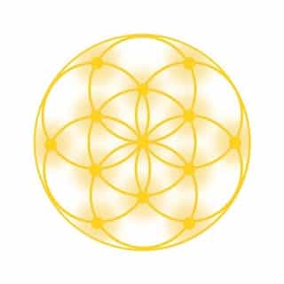 Divine Light Codes logo