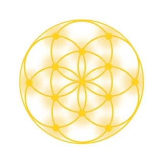 Divine Light Codes logo