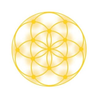 Divine Light Codes logo