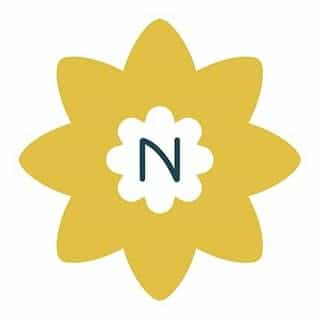 Nintara Baby India logo