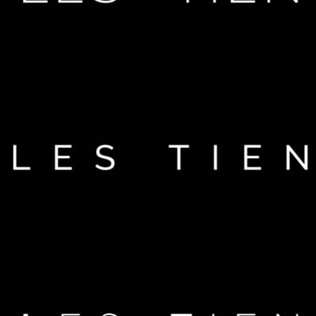 L E S T I E N logo