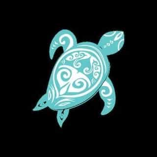 Twisted Turtle Studio logo