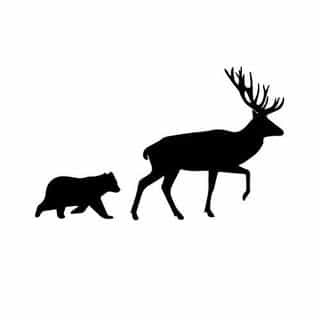Elk and Cub logo