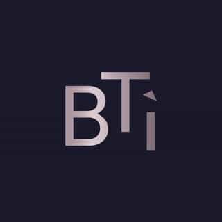 Beauty Triangle International logo