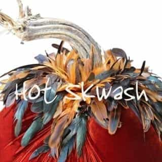 hotskwash logo