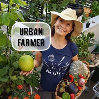 Up On The Rooftop logo