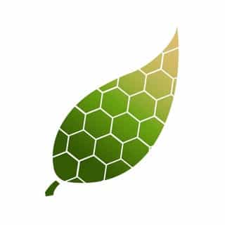 IMMUNOSCIENCES logo