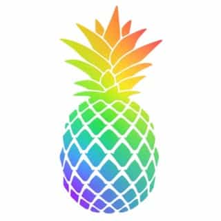 POSH VISION logo