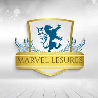 Marvellesures logo