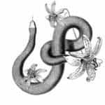 Burn Cottage logo