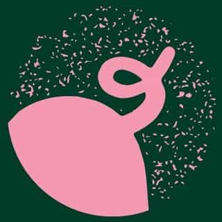 Forage Farms logo