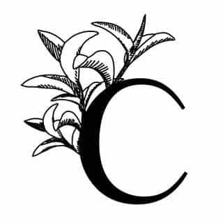La Canopée logo