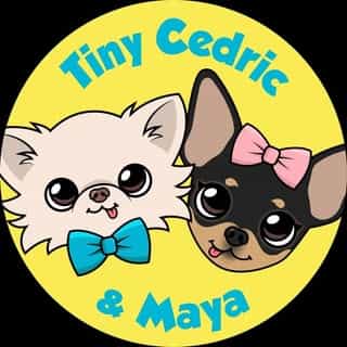 Tiny Chihuahua Shop logo