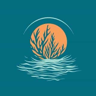 NORISH LIFE SEA MOSS logo