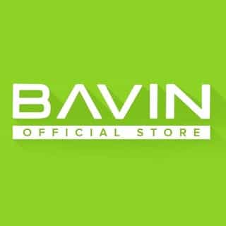 BAVIN logo