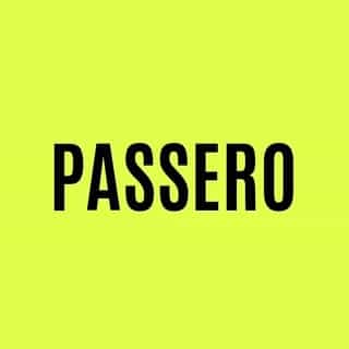 PASSERO logo