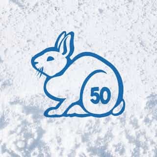 Snowshoe Mountain logo