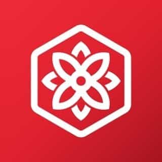 BloomsyBox logo