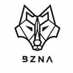 B Z N A logo