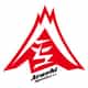 Arashi Dynamics logo