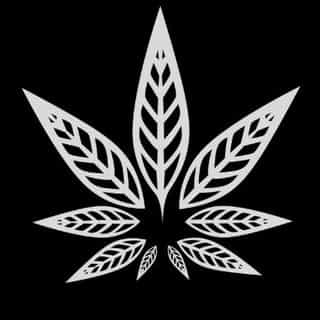 The HS logo