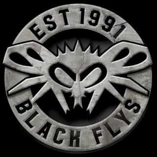 BlackFlys logo
