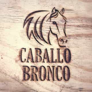 CaballoBronco.com logo