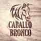 CaballoBronco.com logo
